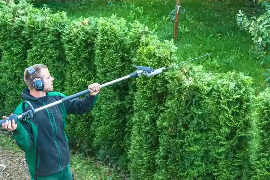 How Hedge Trimming Enhances Curb Appeal And Property Value Tomball, TX How Hedge Trimming Enhances Curb Appeal And Property Value Tomball, TX