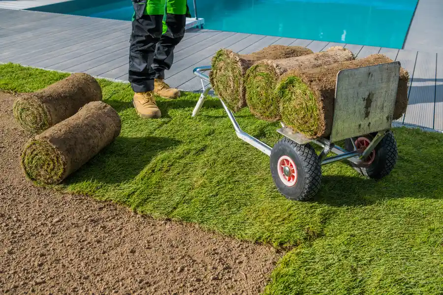 How Sod Installation Can Improve Your Propertys Value Tomball, TX