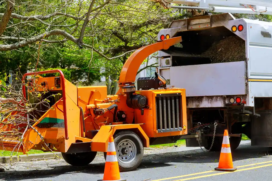 How Tree Removal Prevents Damage To Nearby Structures Tomball, TX