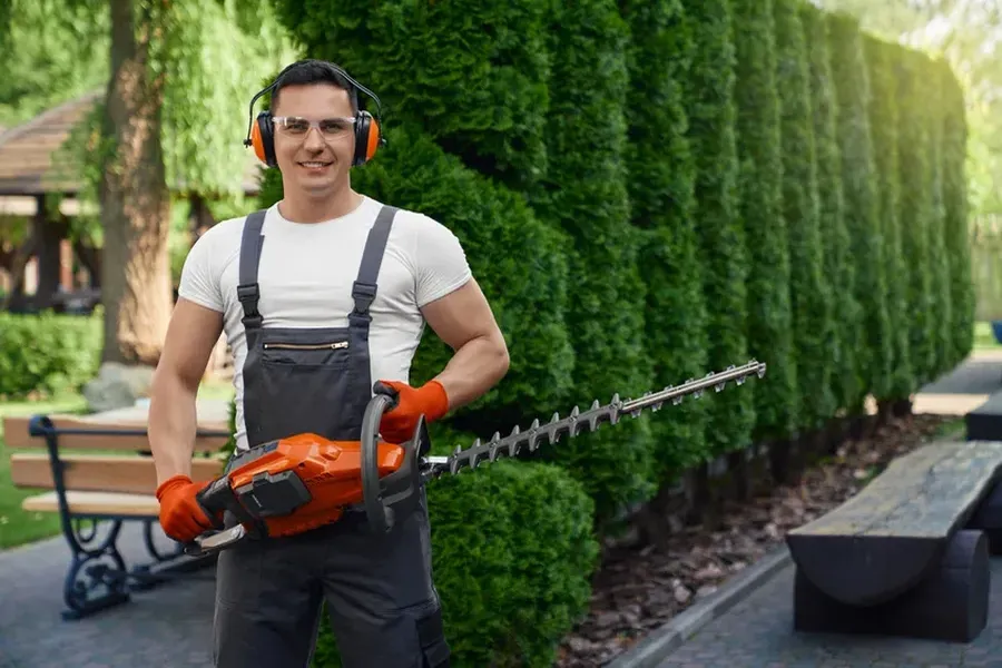 Why Seasonal Hedge Trimming Improves Plant Longevity Tomball, TX Why Seasonal Hedge Trimming Improves Plant Longevity Tomball, TX